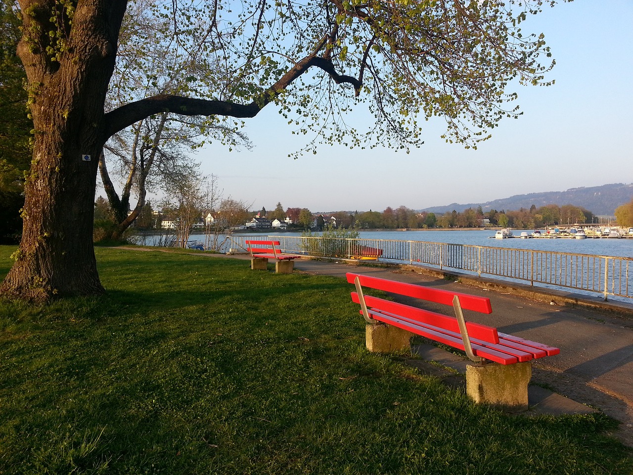 香港队的整 香港队的整