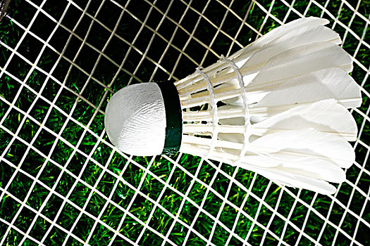 上不可忽視 上不可忽視