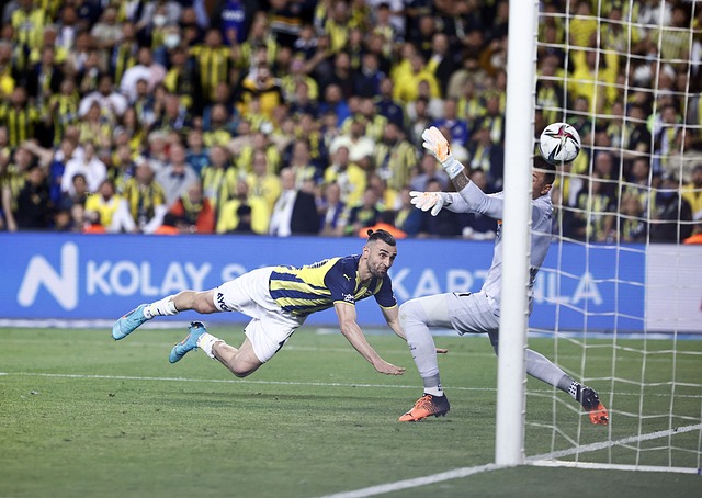 团队协作 团队协作