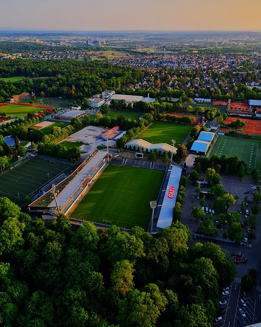 的进一步融 的进一步融